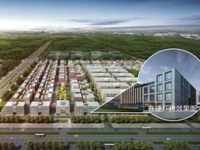 ףغϵӮvwin8868ɹ ϵȼල